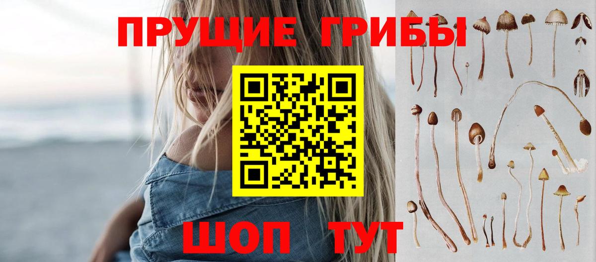 Галлюциногенные грибы Cubensis  Вход с VPN  Советский  Галлюциногенные грибы Magic Shrooms 