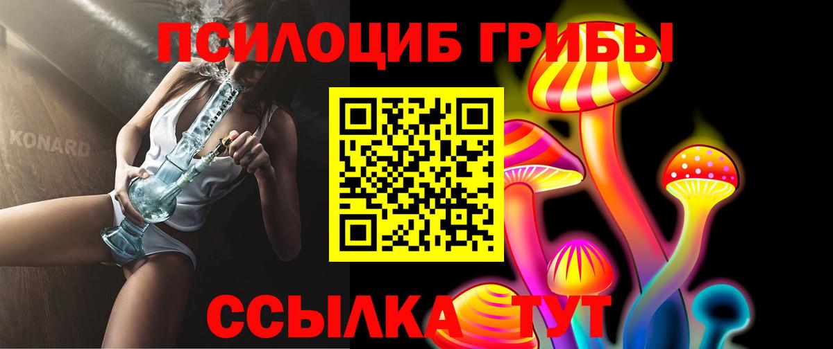 Псилоцибиновые грибы мицелий Советский